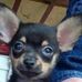 Profile Picture of Chris Kuhlman (Christopher) (@chris.kuhlman.1257) on Facebook