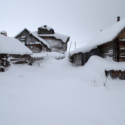 Profile Picture of Mandi Edwards (@mandied68668682) on Twitter