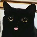 Profile Picture of Joshua (@covalentwand) on Instagram