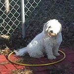 Profile Picture of Joshua Soffen (@joshuasoffen) on Instagram