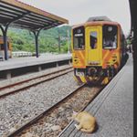 下園 - Instagram Profile Picture of 下園 (@sy_shimozono) on Instagram