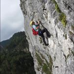 Profile Picture of Whitney Reese PT,DPT,OCS,SCS (@welschwhit) on Instagram