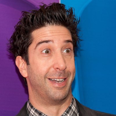 Profile Picture of Dave Schwimmer (@SchwimmerDave) on Twitter