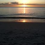 Profile Picture of Michael Schafer (@schafer4446) on Instagram