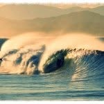 Profile Picture of jesse gallagher (@jessegallagher_) on Instagram