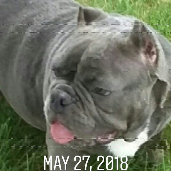 Profile Picture of Danny Santos (@dsantos572) on Poshmark