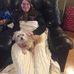 Profile Picture of Beth Rolle (@beth.rolle.71) on Facebook