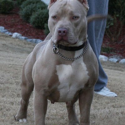 Profile Picture of Bryan Concepcion (@bryany3) on Twitter
