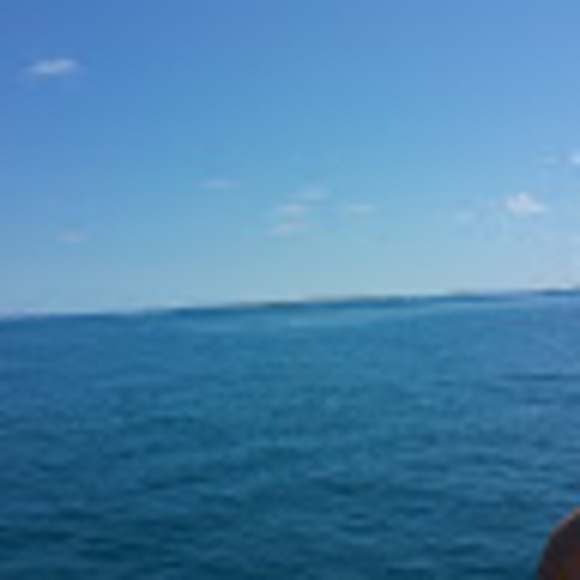 Profile Picture of Bryant Majernik (@bpmajernik) on Poshmark