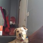 Nick Wendt - Instagram Profile Picture of Nick Wendt (@n_wendt03) on Instagram