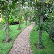 Profile Picture of Adam Garside (@greensidegardn) on Twitter