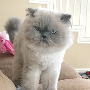 Profile Picture of Laura Scully (@laurascully9494) on Youtube