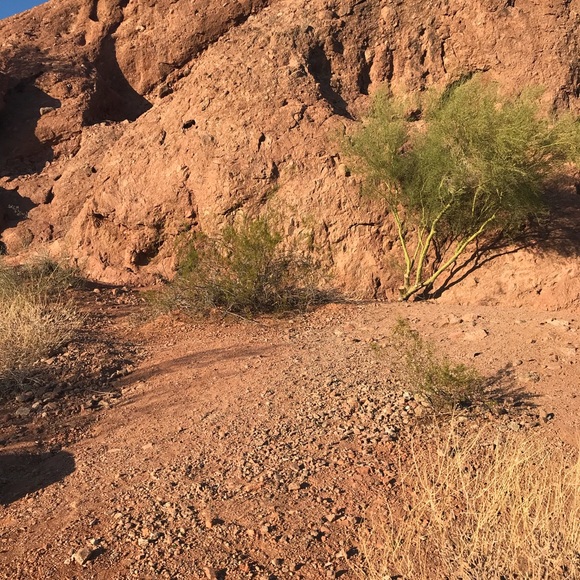 Profile Picture of Sonja Keltgen (@sonjakk) on Poshmark