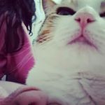 Profile Picture of julia satuki takeda (@juliastakeda) on Instagram