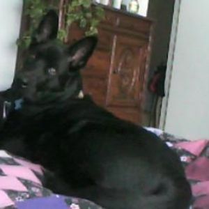 Justin Ohman - Myspace Profile Picture of Justin Ohman (@justinohmanhazarrived) on Myspace