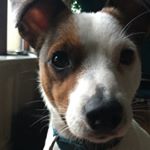 Profile Picture of Buddy Terry (@buddyboi32) on Instagram