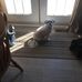 Profile Picture of David Gulliver (@david.gulliver.37) on Facebook