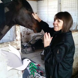 Profile Picture of Rita Michels (@8230rita) on Instagram
