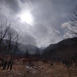 Profile Picture of Colo Hi Life (@jeremyrakestraw) on Instagram