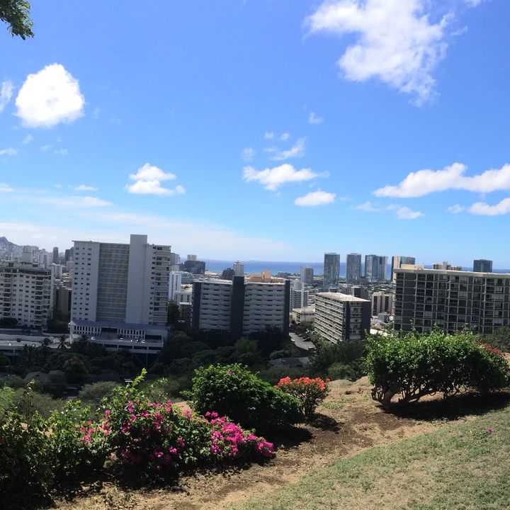 Profile Picture of Stacy hazan (@stacy916) on Tiktok