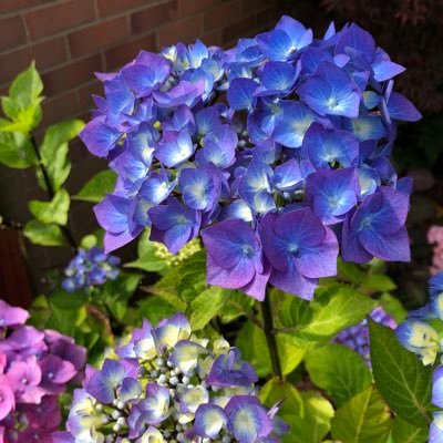 Profile Picture of Marg (@@LongMarg) on Twitter