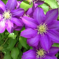 Profile Picture of Michele Epps (@michele-epps-1) on Quora