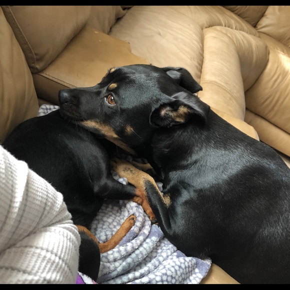 Profile Picture of Jennifer Chivers (@jmunzo1979) on Poshmark