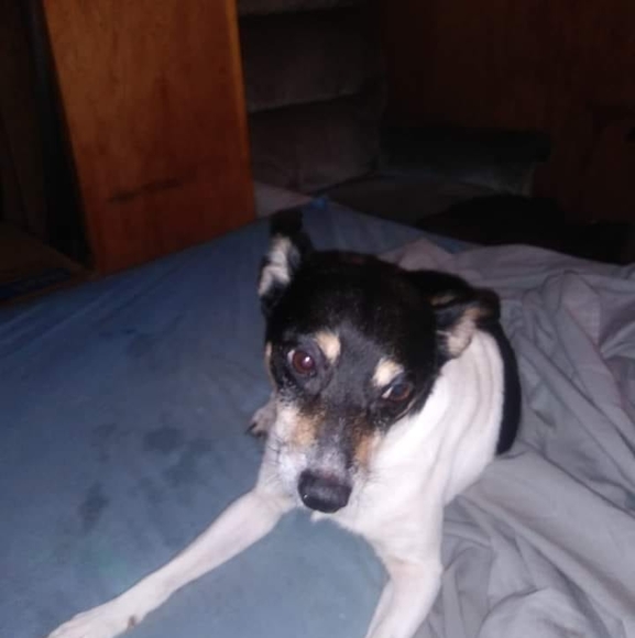 Profile Picture of Alvin Hull (@alvinhull73) on Poshmark