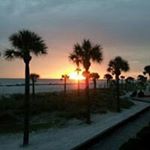 Profile Picture of Sharon (Reaume) Scott (@sharonarscott) on Instagram