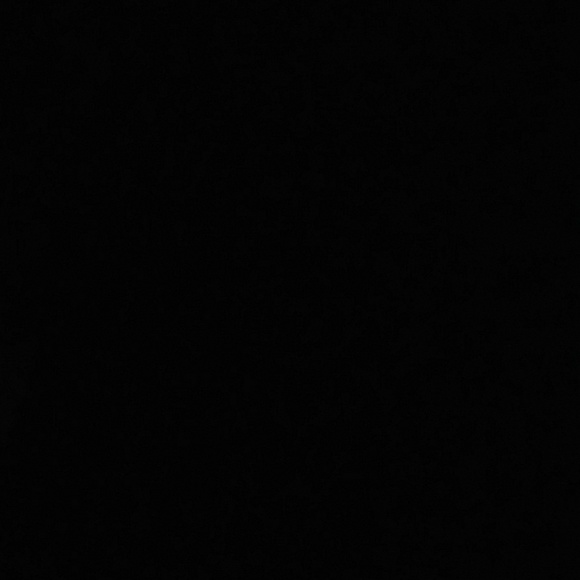 Profile Picture of Eden Manganelli (@edeneden508) on Poshmark