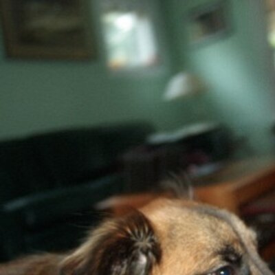 Profile Picture of Alistair Bomphray (@abomph) on Twitter