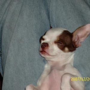 Profile Picture of Jeff Prestridge (@kino78) on Myspace