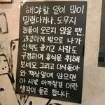 Profile Picture of 잔잔한 행운의 물결 (@serendipity_ripples) on Instagram