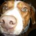 Profile Picture of April Tester (@tester.april) on Facebook