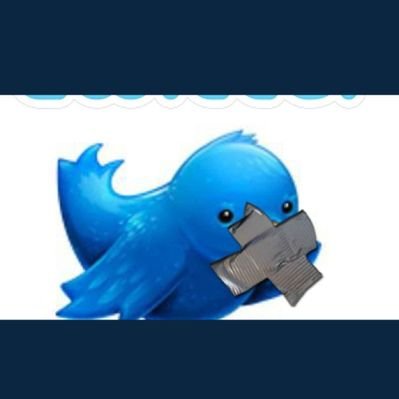 Profile Picture of When Ignorance Is Bliss It's Absurd To Be Wise (@tvitin) on Twitter