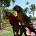 Profile Picture of Randy Lewis (@randy.lewis.5855) on Facebook