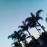 Profile Picture of Danielle Christina Enriquez (@xo.daniiii) on Instagram