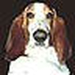 Profile Picture of [bobbyt] (@[bobbyt]) on Flickr