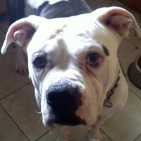 Profile Picture of Erin Yoder (@erin-yoder) on Quora