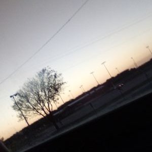 Profile Picture of Trent Helms (@helms_trent) on Twitter