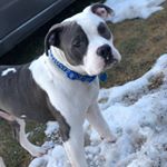 Profile Picture of Keenen Karl Gustafson (@keenengustafson) on Instagram