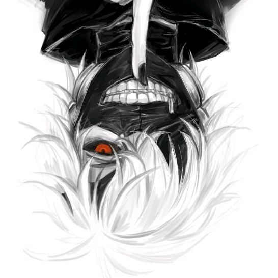 Daniel Drozd - Tiktok Profile Picture of Daniel Drozd (@danieldrozd2) on Tiktok