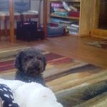 Profile Picture of Ralph Campbell (@ralph.campbell.9699) on Instagram