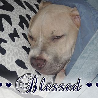 Michelle Fetzner - Facebook Profile Picture of Michelle Fetzner (@TheBoop41) on Facebook