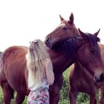 Profile Picture of Lisa Gerhard (@lisagerhard4196) on Instagram