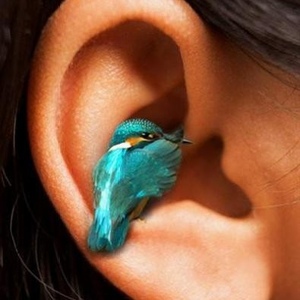 Profile Picture of Jean Glass (@jeananneglass) on Myspace