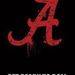 Profile Picture of Donna Shoemaker (@bhamharley) on Pinterest
