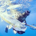 Profile Picture of khalifa mohammed (@kmb__07) on Instagram