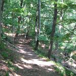 Profile Picture of Kristine Kershner (@klkpsu87) on Instagram