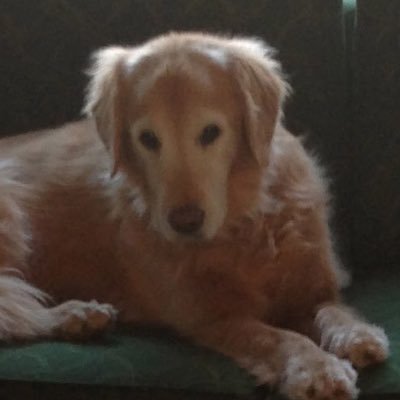 Profile Picture of Cathy Jarvis (@cathyja51532413) on Twitter